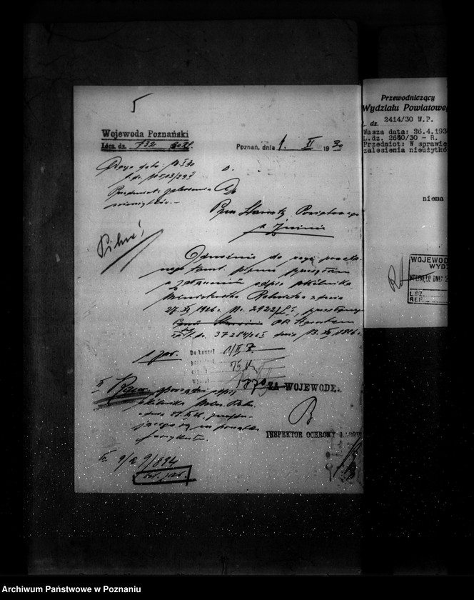 Obraz 9 z jednostki "Zalesienie nieużytków w powiecie żnińskim"