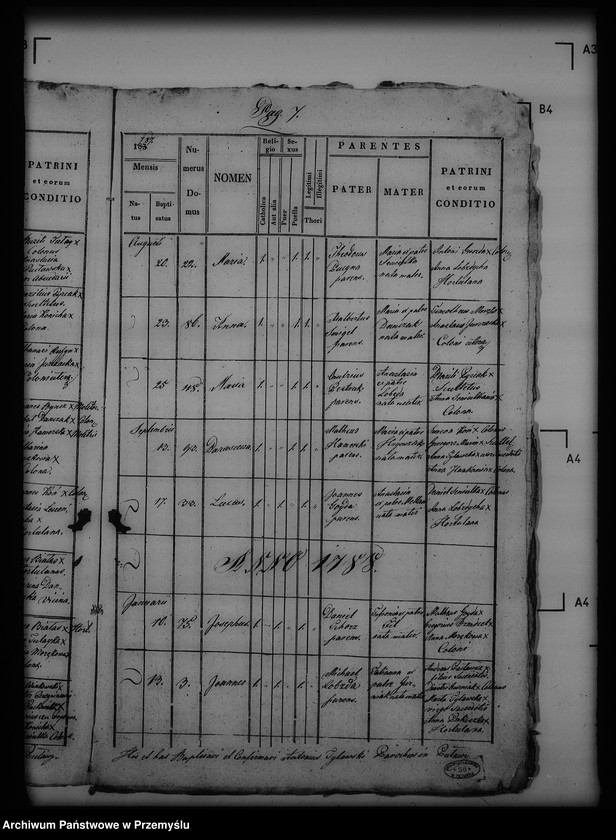 Obraz 11 z jednostki "[Kopie ksiąg metrykalnych parafii Puławy (dekanat Buków)]"