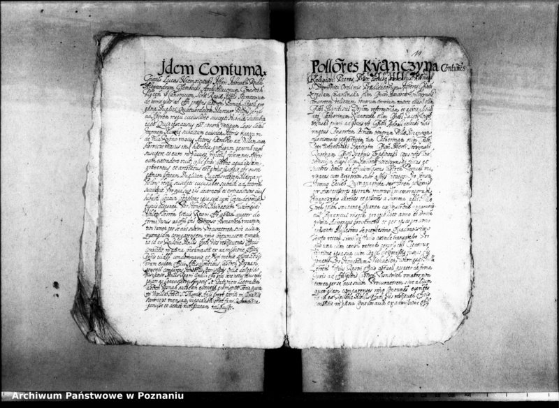 Obraz 14 z jednostki "Decreta officii [inducta]"