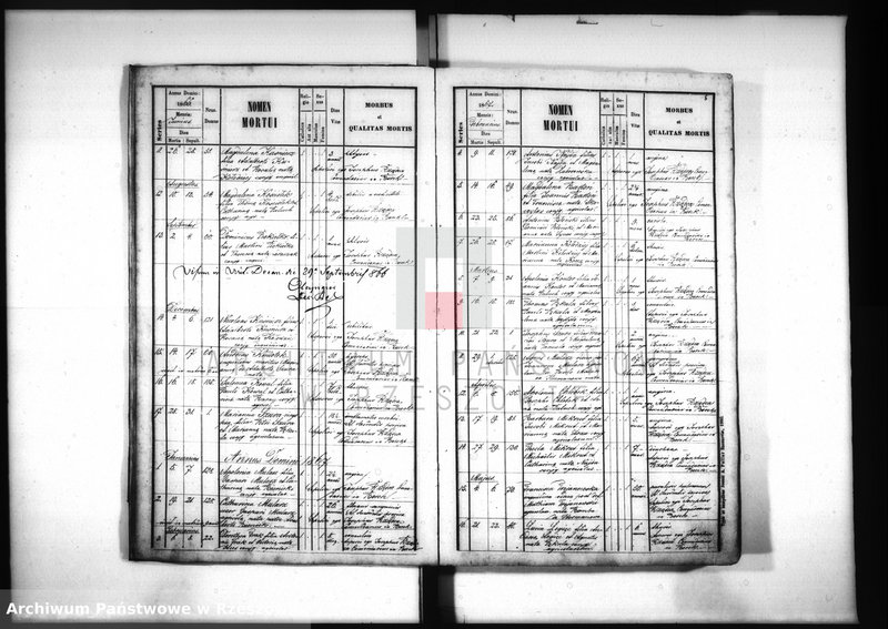 image.from.unit.number "Księga zgonów - Borek Nowy"