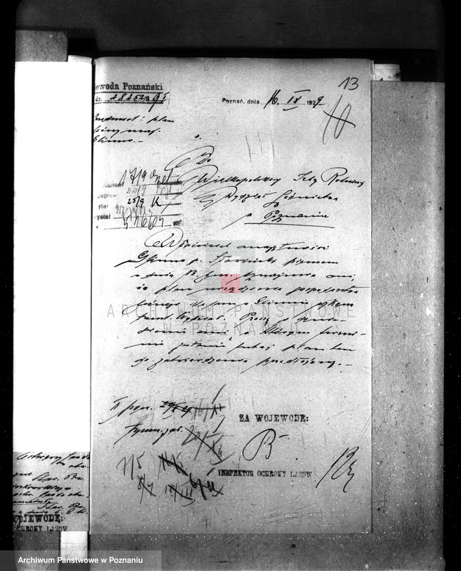 Obraz 17 z jednostki "Majętność leśna Glinno powiat wągrowiecki"