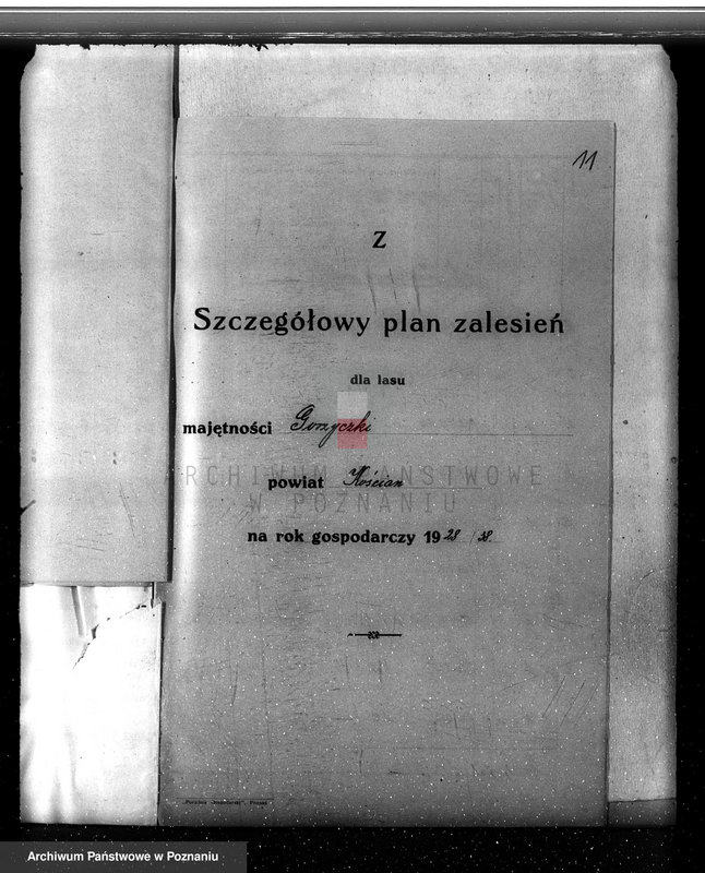 Obraz 15 z jednostki "Plan urządzania gospodarstwa leśnego dla lasu majętności Gorzyczki powiat kościański"