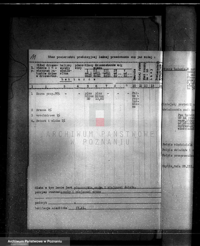 Obraz 15 z jednostki "Gmina Piorunów powiat turecki /nadzór nad gospodarką leśną/"