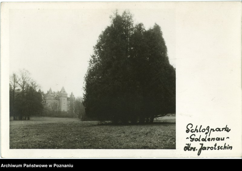 Obraz 1 z jednostki "Gołuchów - widok zamku od parku"