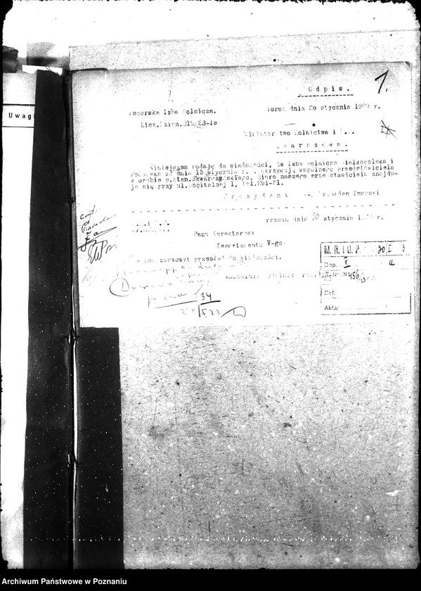 Obraz 5 z jednostki "Okólniki"