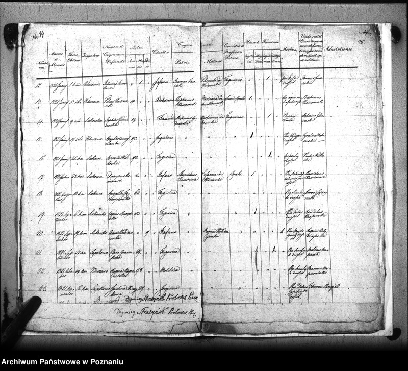 image.from.unit.number "Liber baptisatorum, copulatorum, mortuorum"