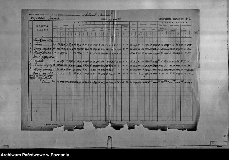 Obraz 4 z jednostki "/Statystyka produkcji rolnej - zestawienie powiatowe - Szubin"