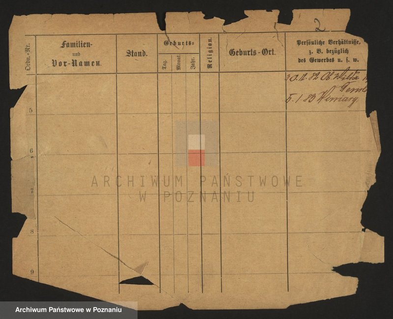 Obraz 4 z jednostki "Maćkowiak (samotni mężczyźni i kobiety)"
