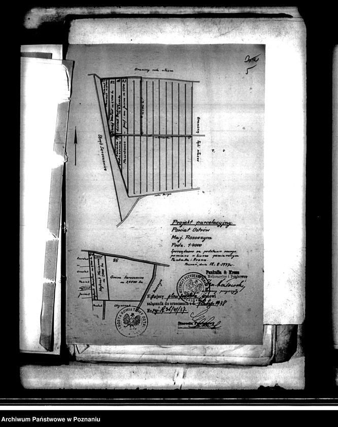 Obraz 10 z jednostki "Projekt parcelacyjny majątku Sieroszewice i Rosoczyce powiatu ostrowskiego"