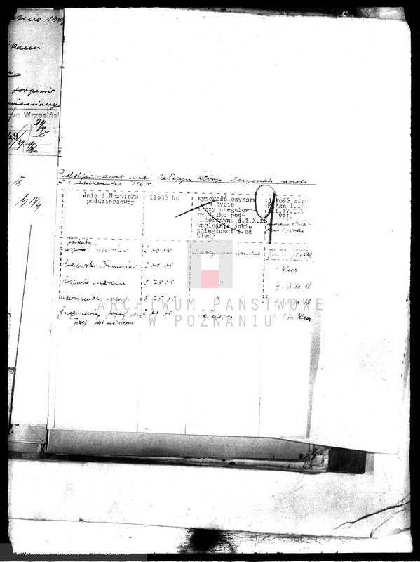 Obraz 18 z jednostki "Poddzierżawy majątku państwowego Pałczyn"