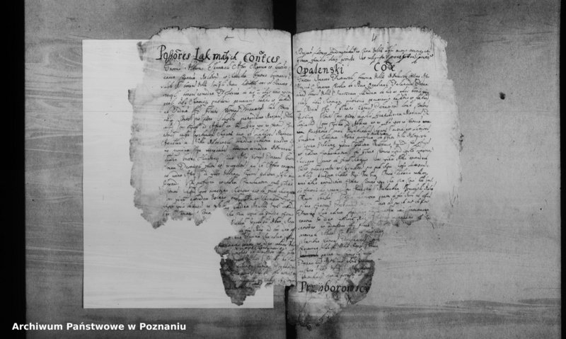 Obraz 7 z jednostki "Decreta officii [inducta]"