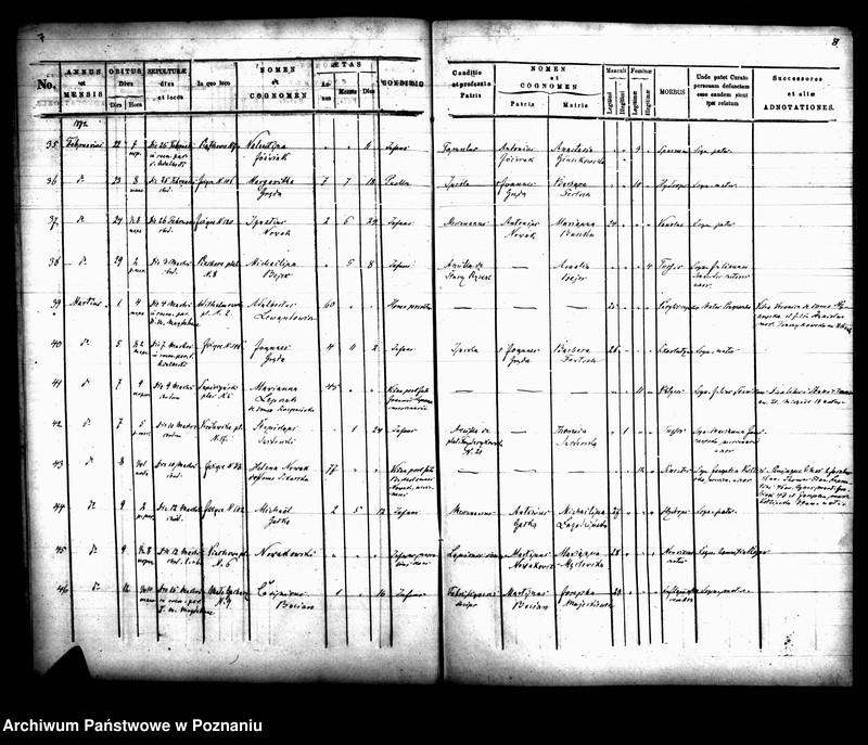 Obraz 6 z jednostki "Księga zgonów"