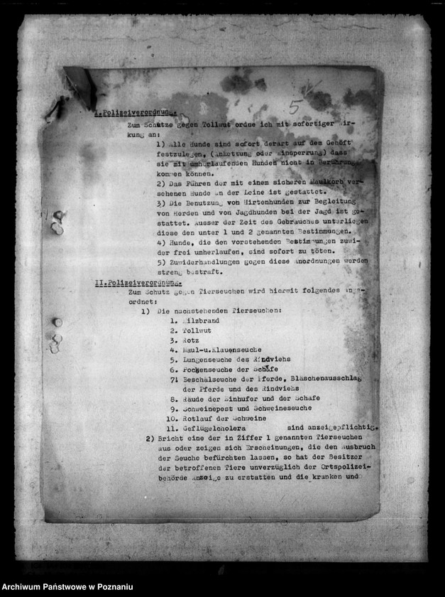 Obraz 9 z jednostki "Tollwut"