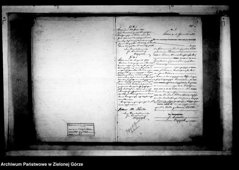 Obraz 5 z jednostki "[Księga akt urodzenia rok 1900-Żary miasto]"