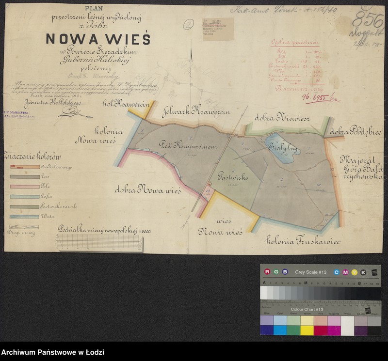 Obraz 1 z jednostki "Plan przestrzeni leśnej wydzielonej z dóbr Nowa Wieś w powiecie sieradzkim położonej"