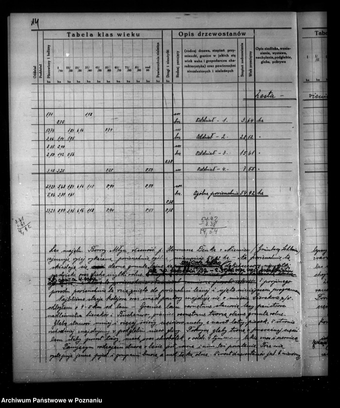 Obraz 18 z jednostki "Program urządzenia gospodarstwa leśnego dla lasu majątku Borowy-Młyn w powiecie międzychodzkim/"
