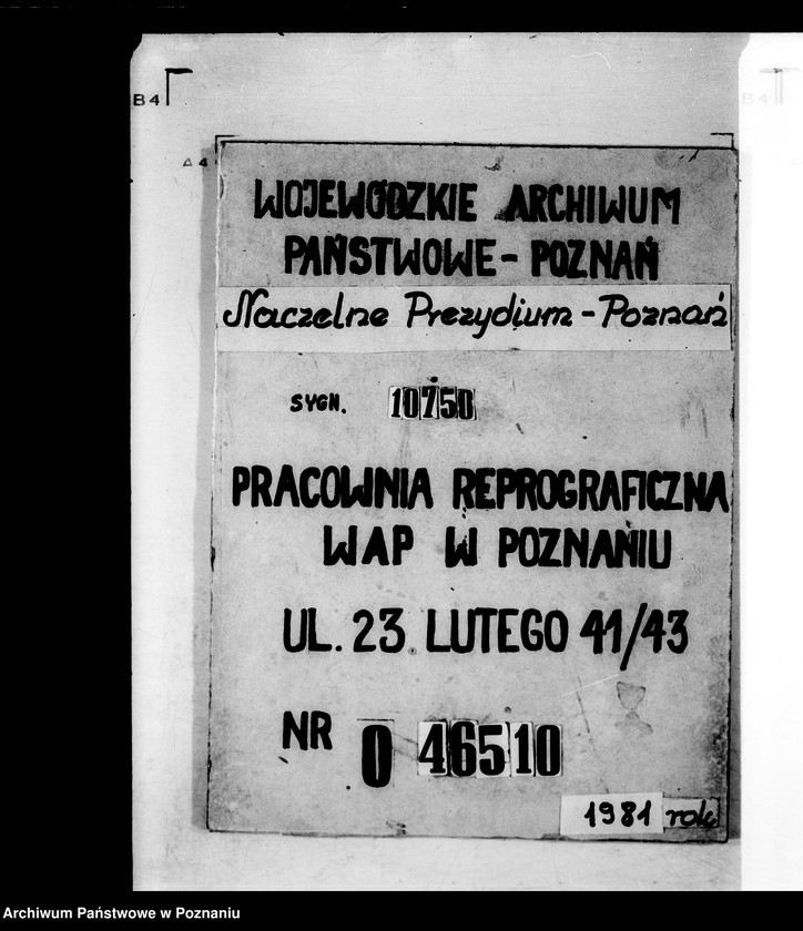 Obraz 1 z jednostki "Die für die Witwe des verstorbenen Regierungssekrätars Ziegler nachgesuchte Pension oder fortdauernde Unterstützung."