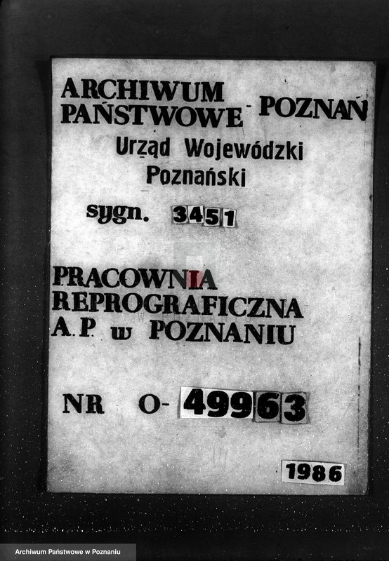 Obraz 1 z jednostki "Las miasta Tuliszkowo powiat koniński"