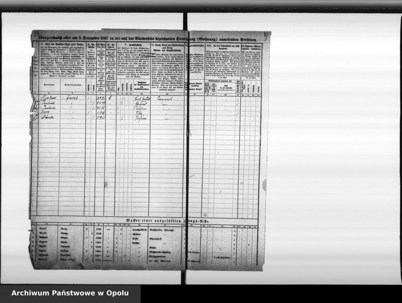 Obraz 14 z jednostki "Zählbezirk 9 [Spis ludności, 1867]"