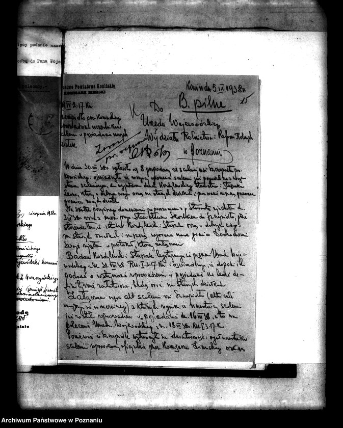 Obraz 18 z jednostki "Scalenie gruntów wsi Szczepidło powiatu konińskiego"