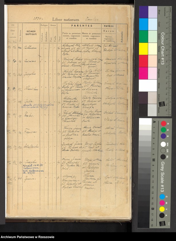 image.from.unit "Księga urodzeń Cmolas, Hadykówka, Poręby Dymarskie, Zarębki"