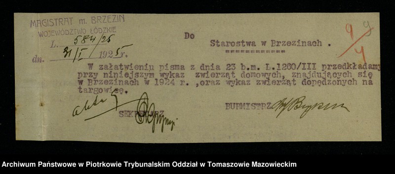 image.from.unit.number "Statystyka Mag[istratu] miasta Brzezin"