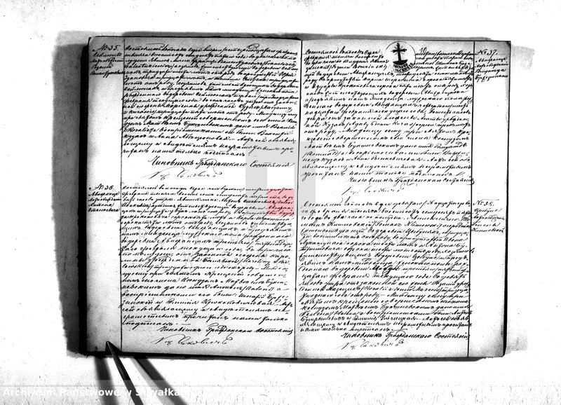 Obraz 12 z jednostki "Duplikat serejskago prichoda na 1875 god"
