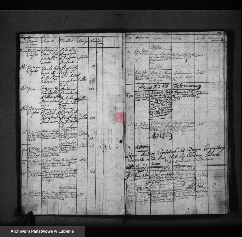 Obraz 5 z jednostki "Metrica copulatorum pro oppido Tomaszów et villis"