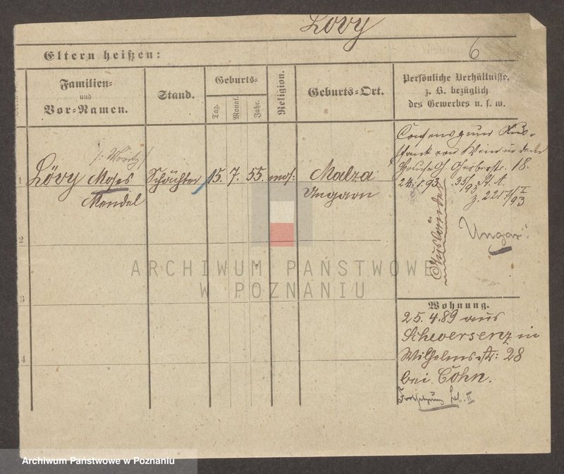 Obraz 7 z jednostki "Lewy - Libeke"