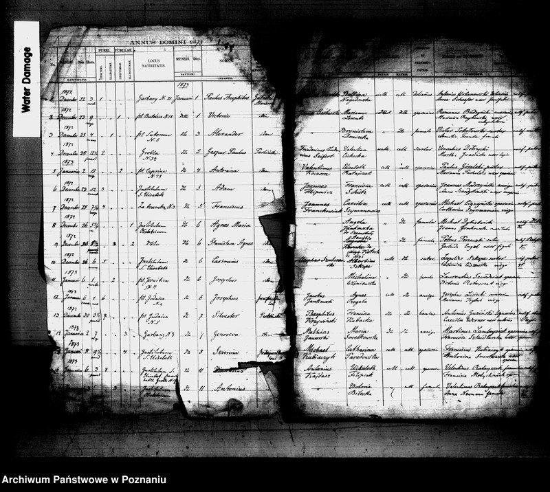 Obraz 2 z jednostki "Księga urodzin"