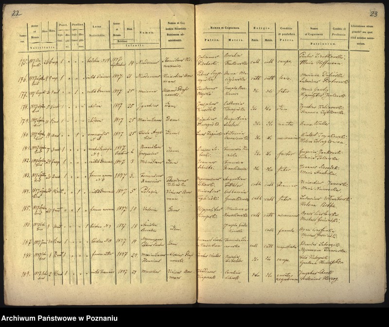 Obraz 15 z jednostki "Księga urodzin"