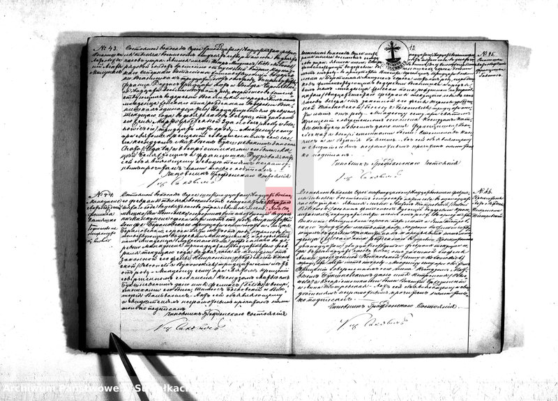 Obraz 14 z jednostki "Duplikat serejskago prichoda na 1875 god"