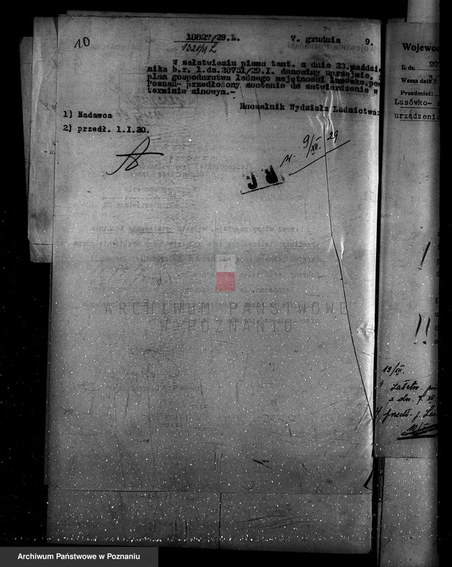 Obraz 14 z jednostki "Zarząd majętności Lusówko powiat poznański/ nadzór nad gospodarką leśną/"