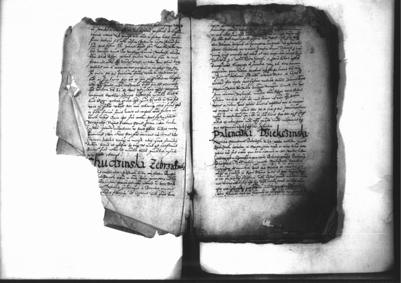 Obraz 5 z jednostki "Decreta iudicii [inducta]"