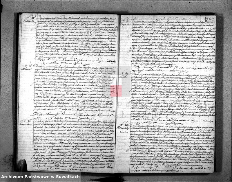 Obraz 12 z jednostki "D. Ł. Par. Leypuny 1861"