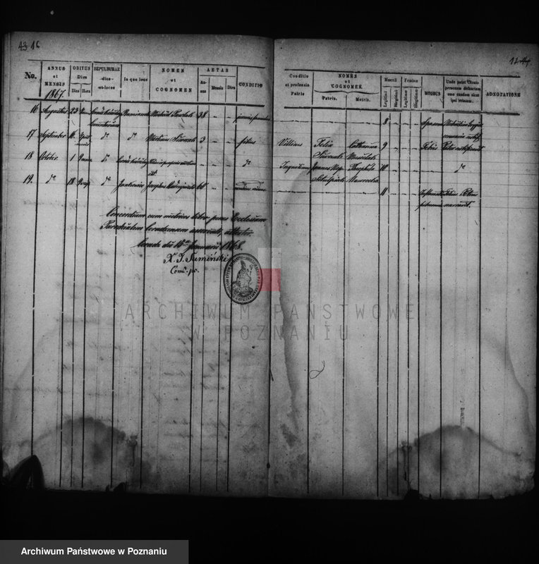 Obraz 12 z jednostki "Duplikat baptisatorum, copulatorum, mortuorum"