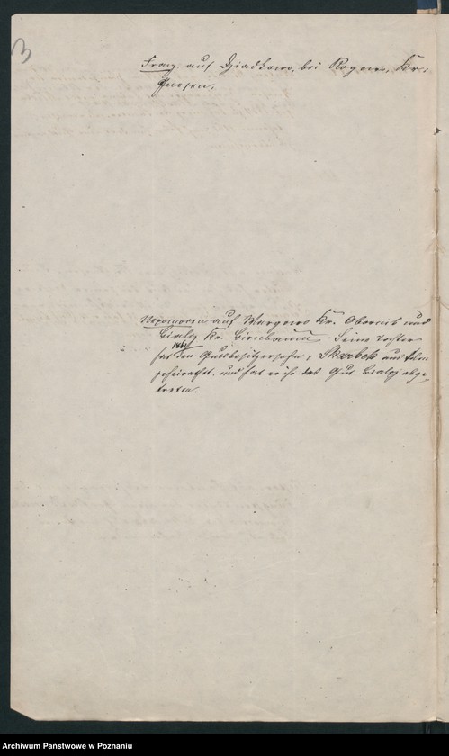 Obraz 7 z jednostki "A. betr. Familie von Koszutski"