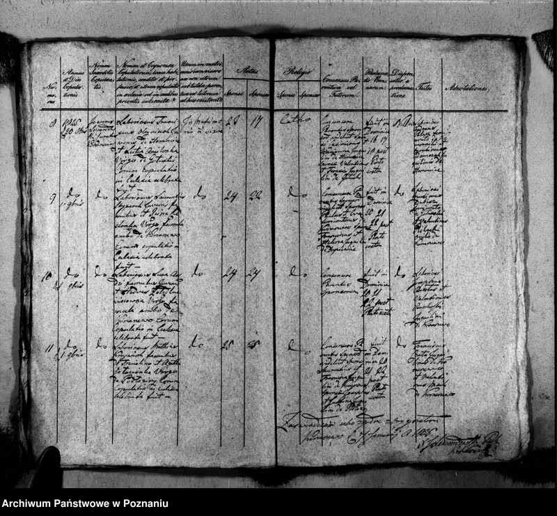Obraz 14 z jednostki "Liber baptisatorum, copulatorum, mortuorum"