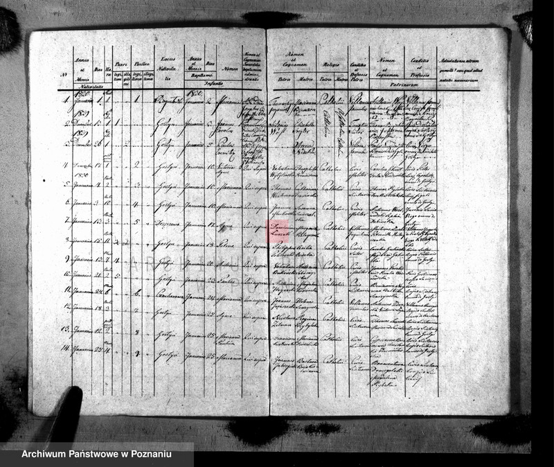 image.from.unit.number "Liber baptisatorum, copulatorum, mortuorum"