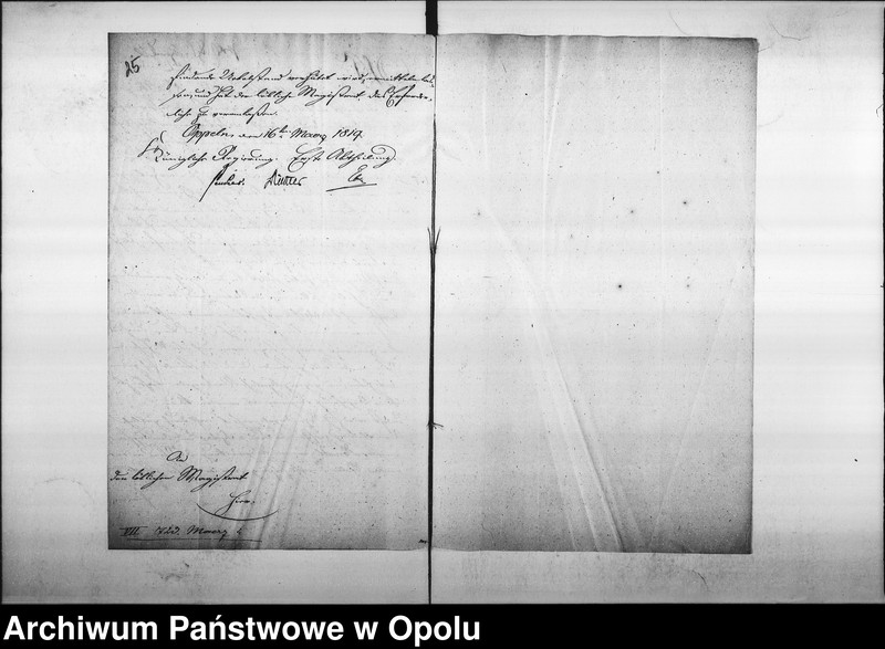 Obraz 20 z jednostki "Acta specialia des Magistrats zu Oppeln betreffend die von der verwittweten Landräthin v[on] Sydow verlangte Wegschaffung des Töpfer Ofens, des Töpfers Donath in der Groschowitzer Vorstadt Vol. I de anno 1818"