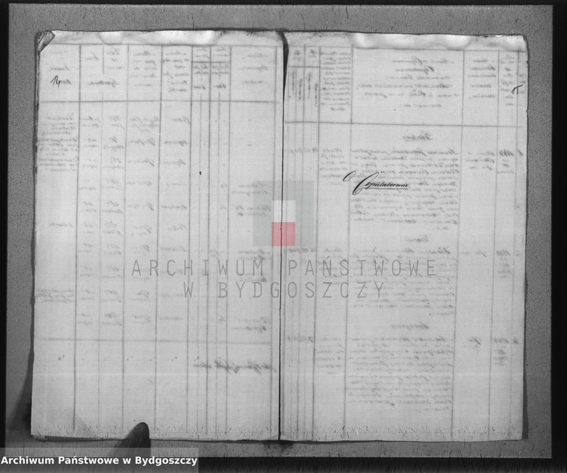 image.from.unit.number "Liber Duplicatus Baptisatorum, Mortuorum et Copulatorum Ecclesaie Parochialis Pacostensis ex Villis de Districtu Szubiniensi pro Anno Domini 1844"