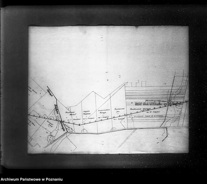 Obraz 12 z jednostki "Podanie o zatwierdzenie planu linii elektrycznej o wysokim napięciu z Mosiny do Śremu Elektrownia Miejska w Poznaniu"