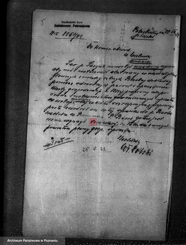 Obraz 9 z jednostki "/Nadzór nad lasami majętności Maciejewo w powiecie czarnkowskim/"