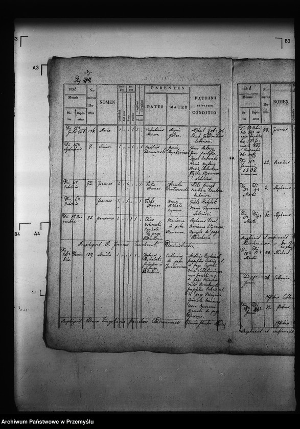 Obraz 7 z jednostki "[Kopie ksiąg metrykalnych parafii Radochońce z filią Horysławice (dekanat Niżankowice)]"