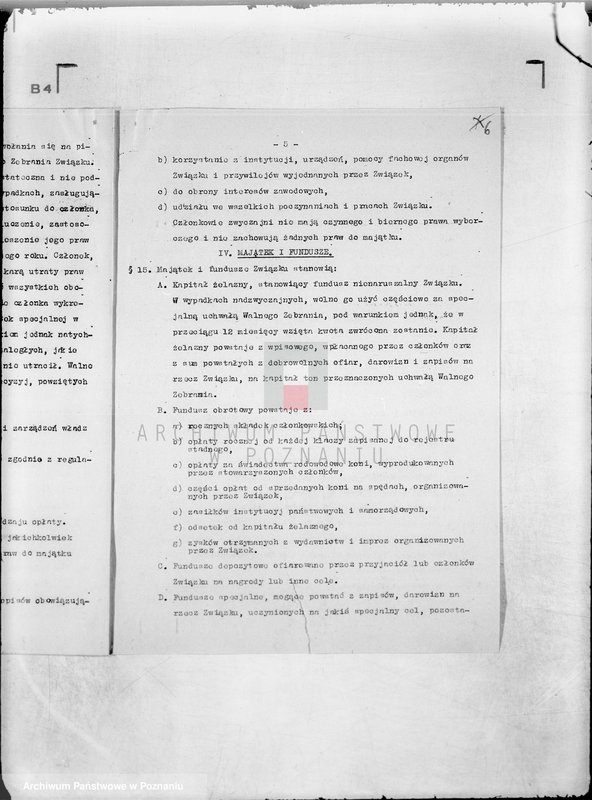 Obraz 10 z jednostki "/Poznański Związek Hodowców Koni w Poznaniu/"