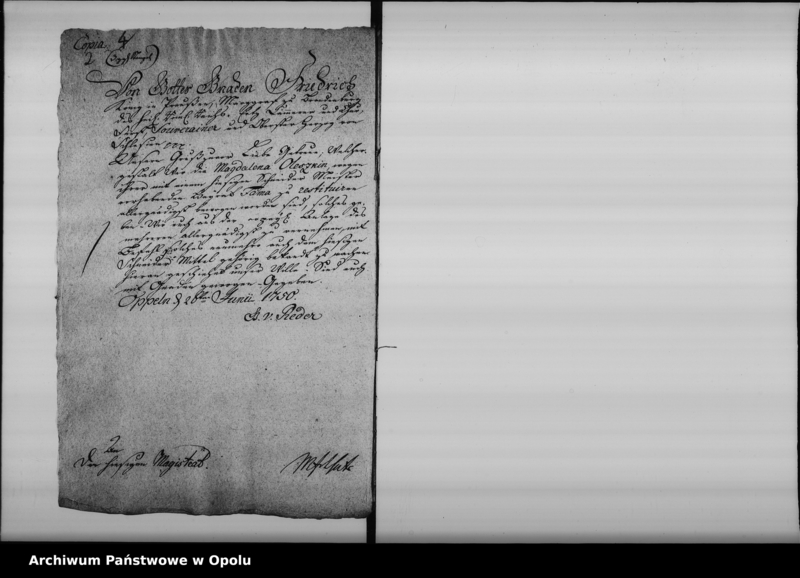 Obraz 6 z jednostki "Acta die Decreta Legitimationis natalium bei Zünften betreffend 1750-1795"