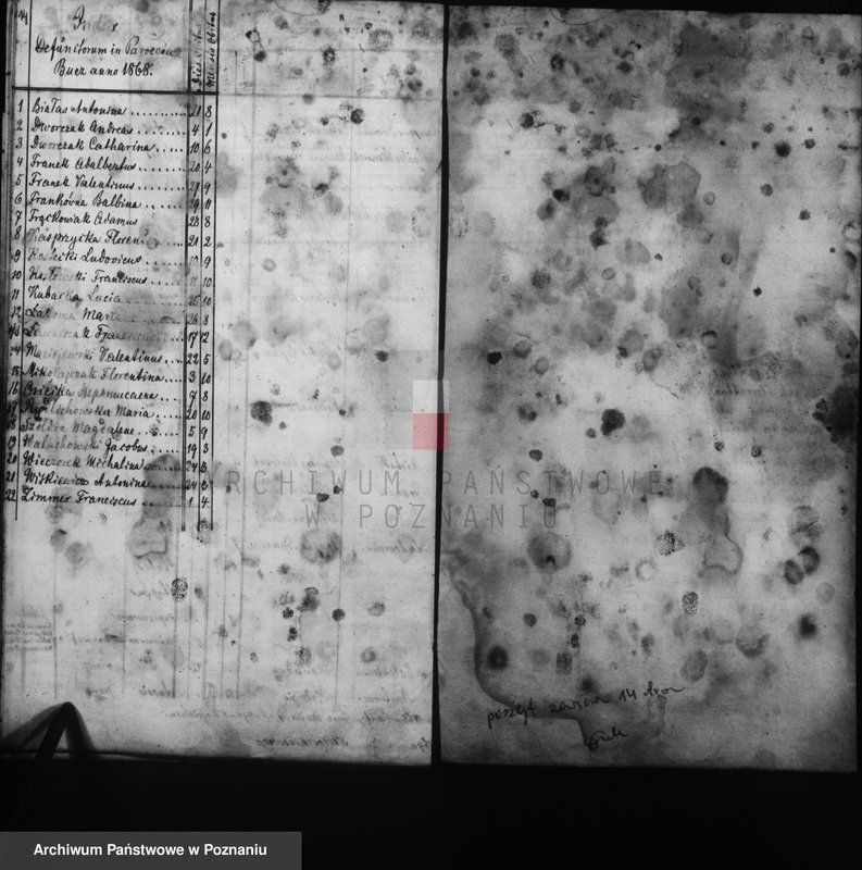 Obraz 11 z jednostki "Duplicati baptisatorum, copulatorum, mortuorum"