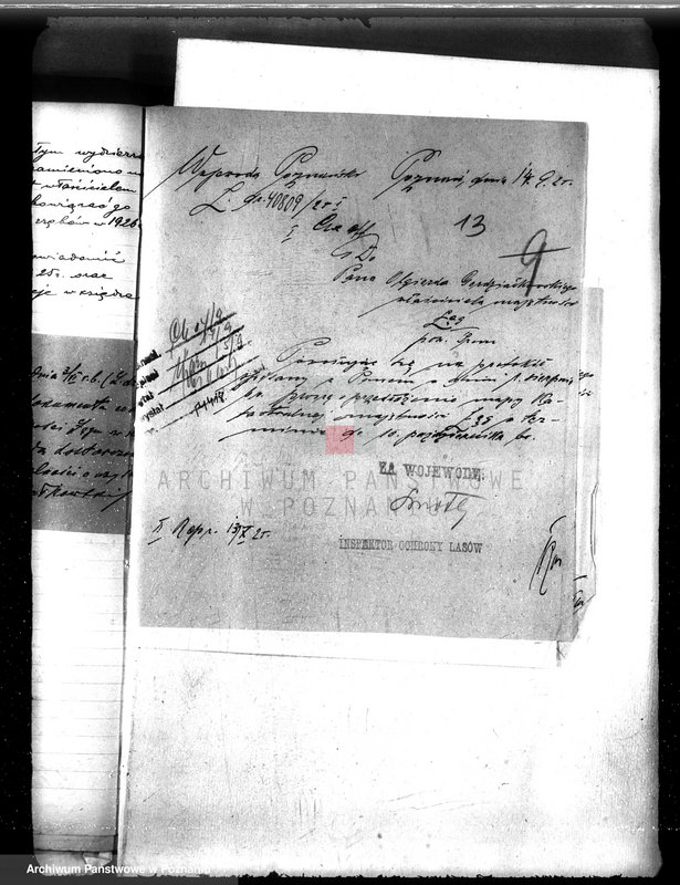 image.from.unit.number "Majętność leśna Łęgu powiat śremski"