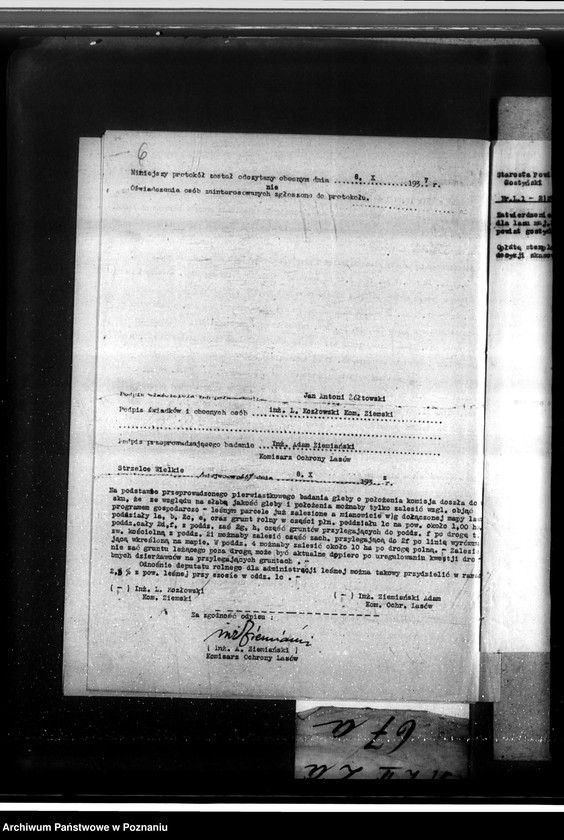 Obraz 10 z jednostki "Las majątku Strzelce-Wielkie w powiecie gostyńskim"