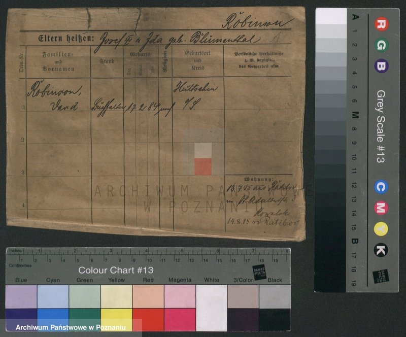 Obraz 3 z jednostki "Robinson - Rodziewicz"